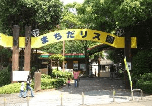 町田リス園