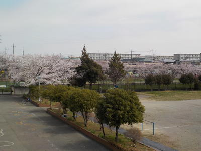 鴻巣市立大芦小学校